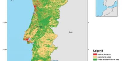 Kaart van Portugal bossen
