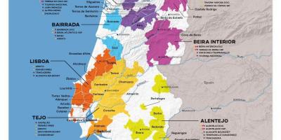 Wijn kaart van Portugal